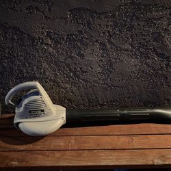 OLDSCHOOL RYOBI LEAF BLOWER