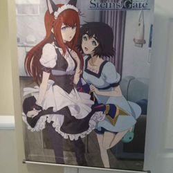 Steins Gate Anime Wall Scroll