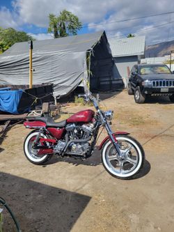 2000 Harley Sportser 1200