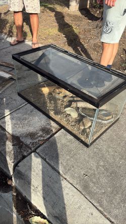 Reptile tank