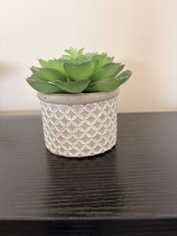 Artificial Succulent.