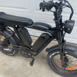 Electric Elk Bike 2 Seater
