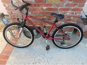 Youth Mountain Bike - Giant RST154