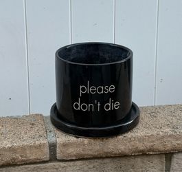 Plant pots