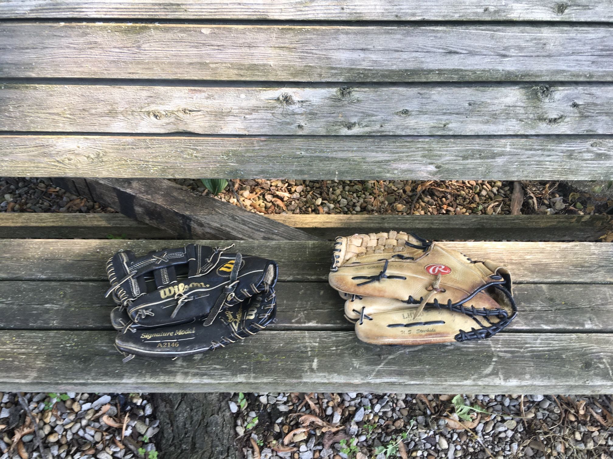 Baseball / Softball Gloves $25 Each