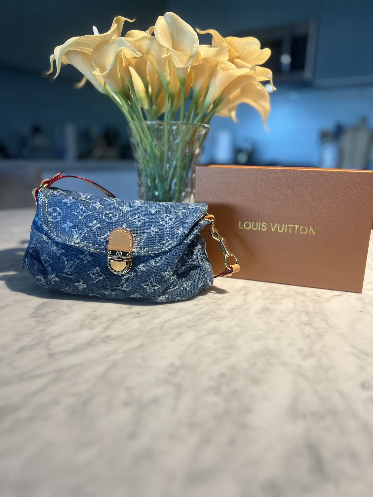 Authentic Louis Vuitton Bag - Used Like New