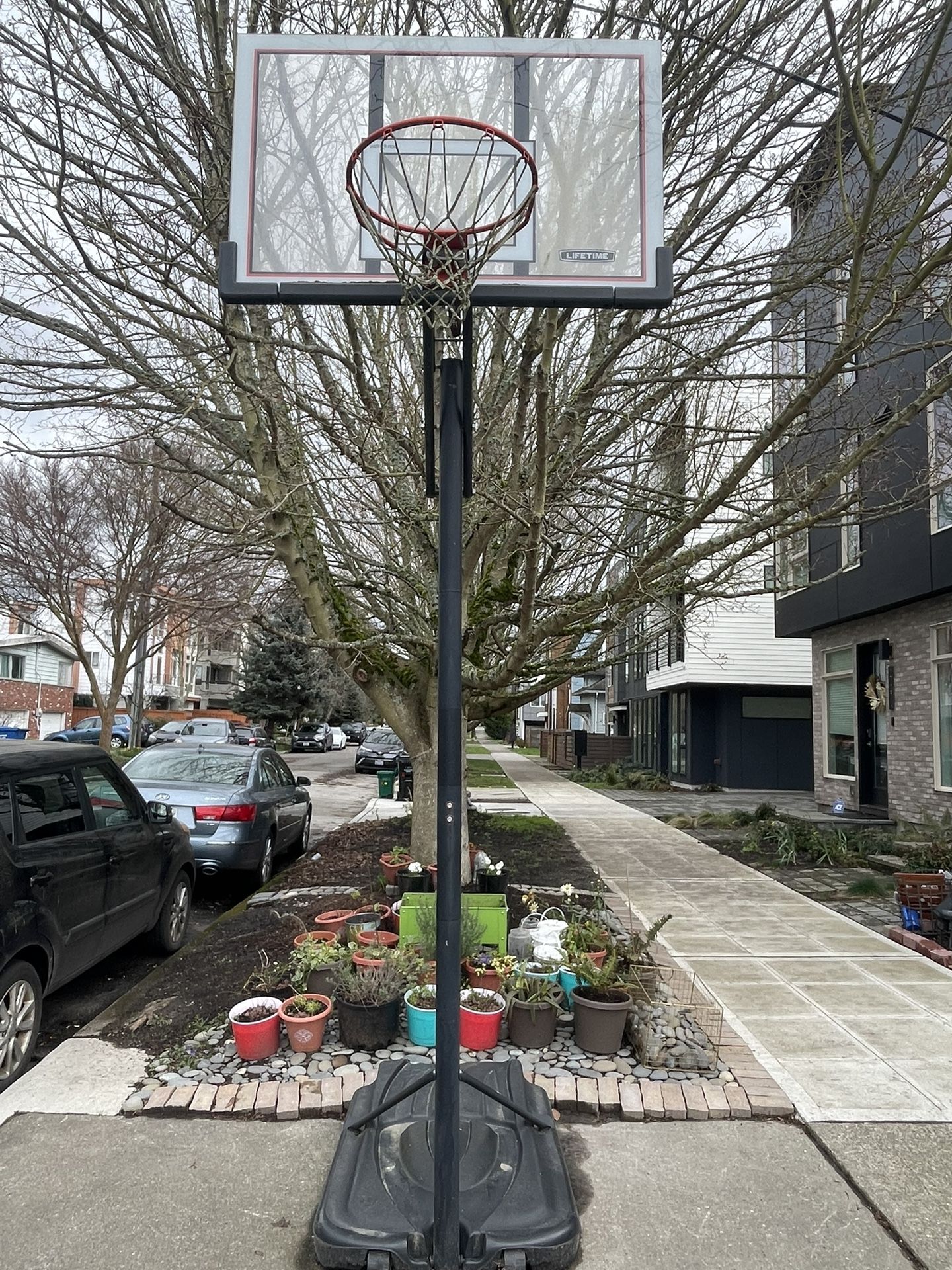 Lifetime Portable Basketball Hoop