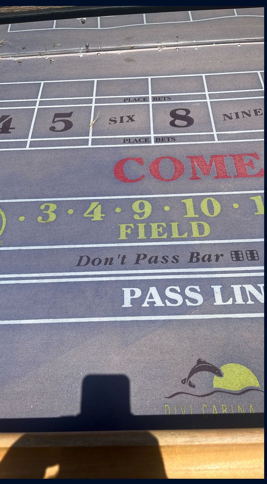 Craps Table
