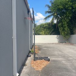 BASKETBALL 10 foot Official Hoop 