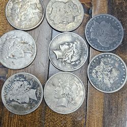 Peace and Morgan Silver Dollars at Melt !