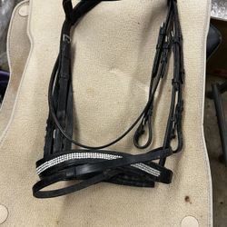 Bridle