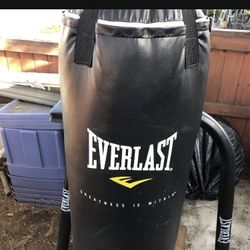 Everlast Punching Bag With Stand  