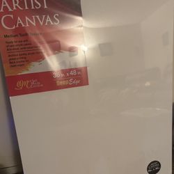 Artist Canvas 