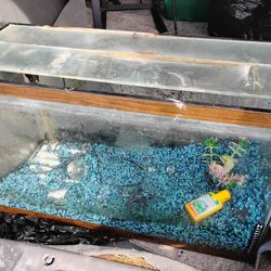 20 Gallon Fish Tank With Top Lids