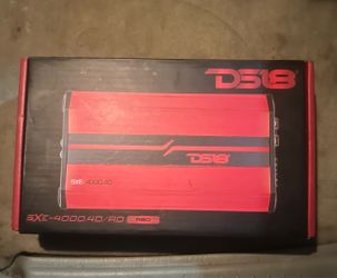 Ds18 amp and 6.5 speaker