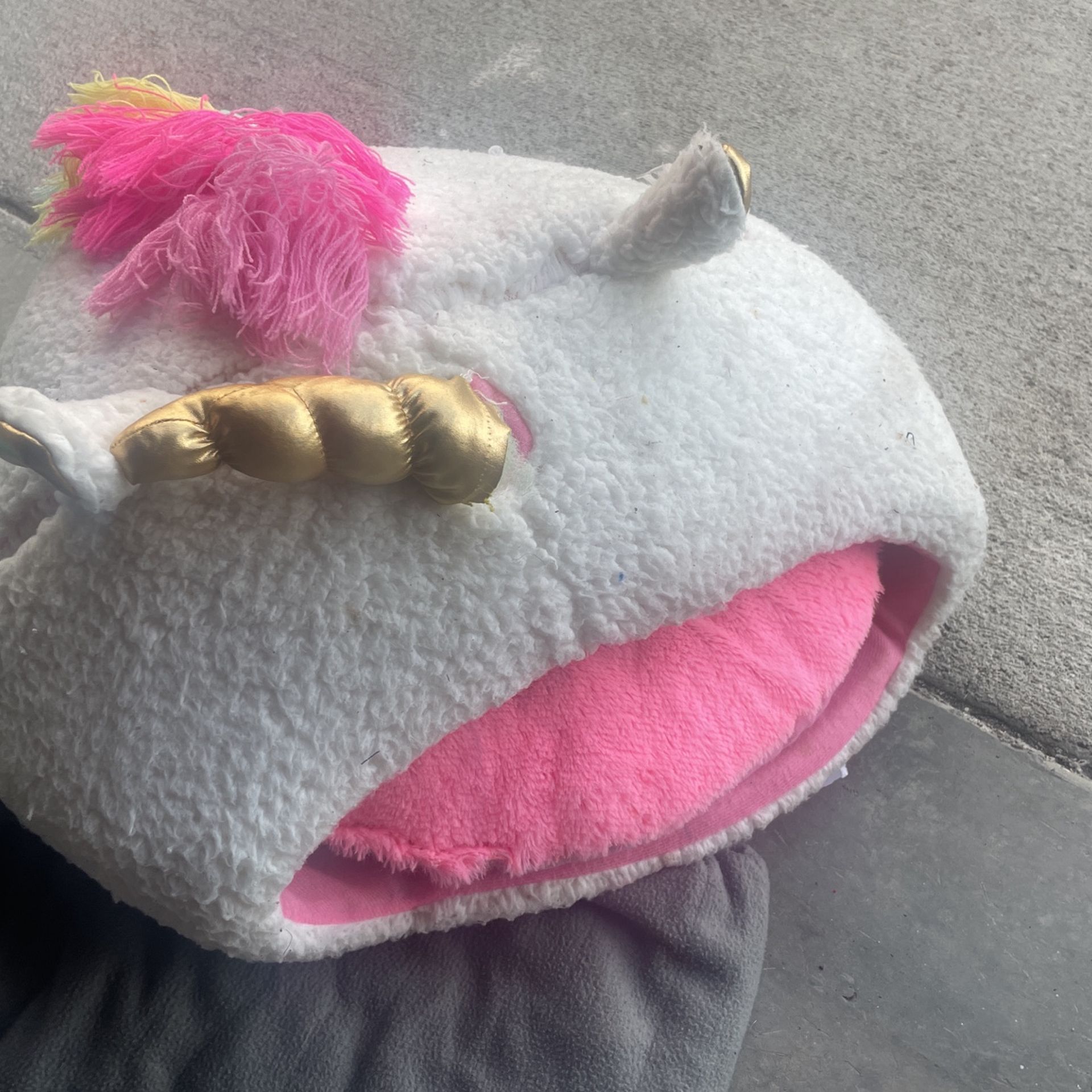 Cat Bed
