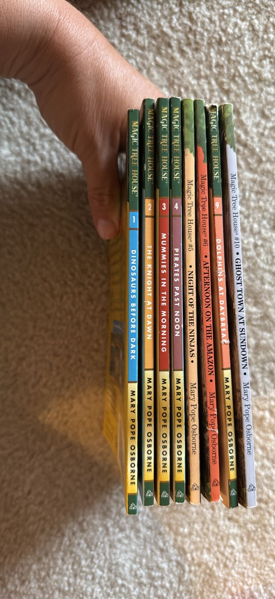 Magic Tree House set of 8 books