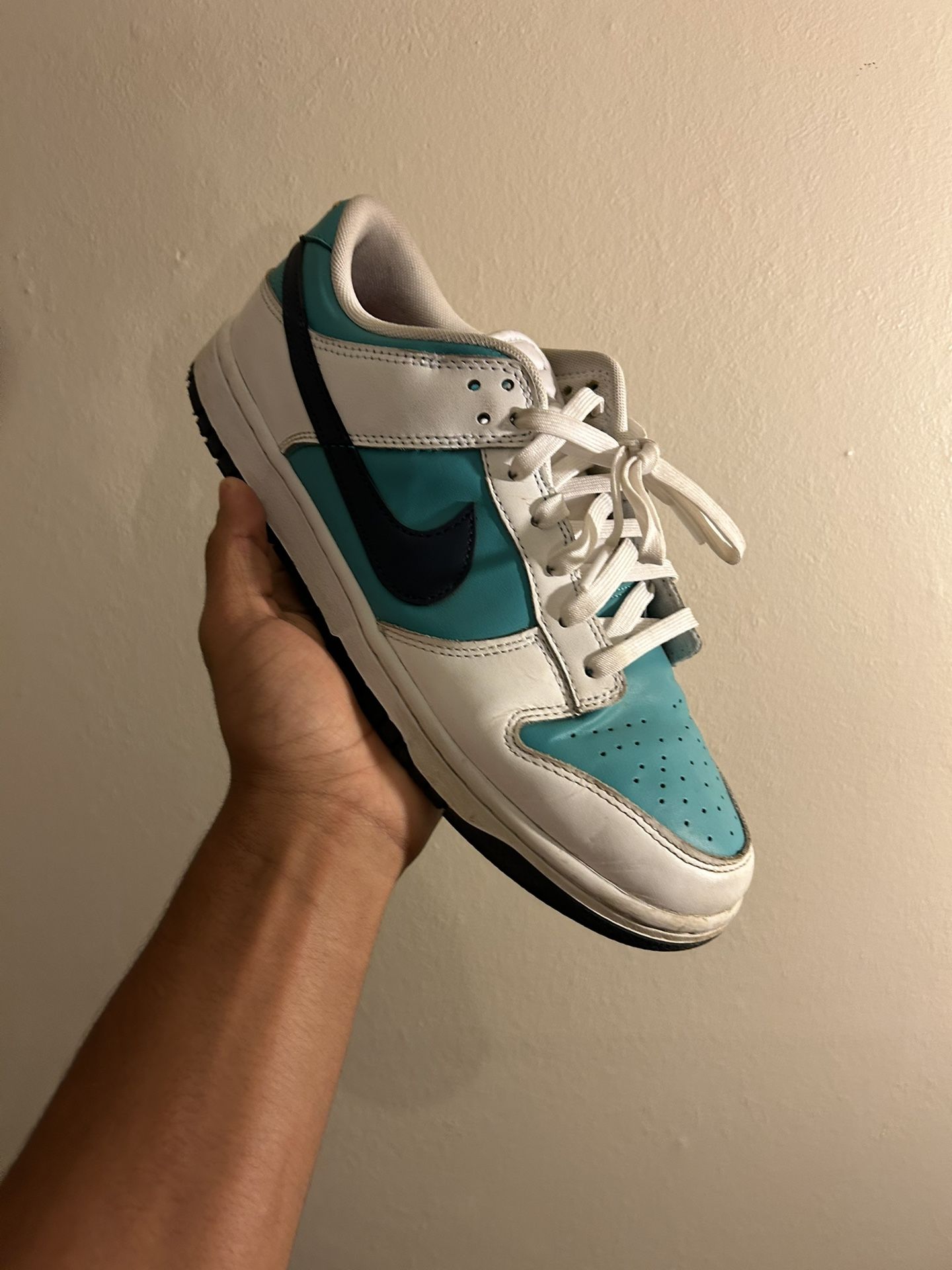Nike dunk Dusty Cactus
