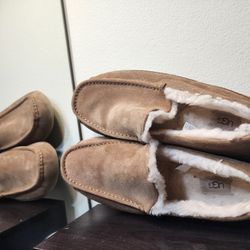 UGG Ascot Slipper Men's Shoes. Used. Size USA 14, UK 13, EUR 48.5, JAPAN 32. Made in Vietnam. 