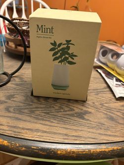 Mint Hydro Grow Kit