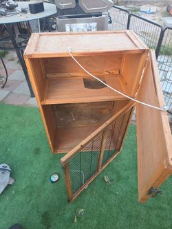 Tortoise house