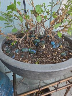 Large Round Gray Planter Pot