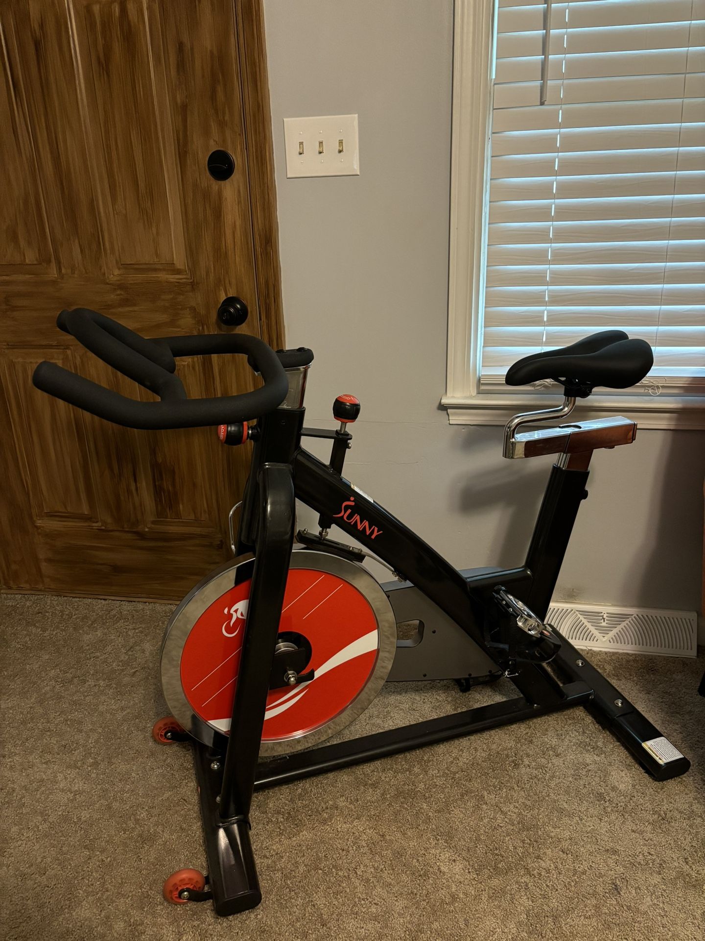 Sunny Exercise Bike