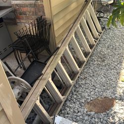Ladder Tall 16 Inch 