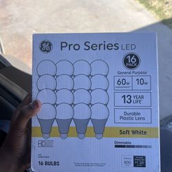 Light Bulbs
