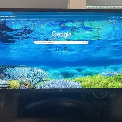 (2021) LG (32MN60T-B) 32" Class FHD IPS FreeSync Computer Gaming Monitor - Like New!!!