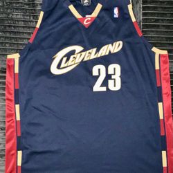 One Of A Kind LeBron James Authentic Jersey 