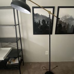 Black And Gold Floor Lamp 