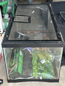 Reptile Tank