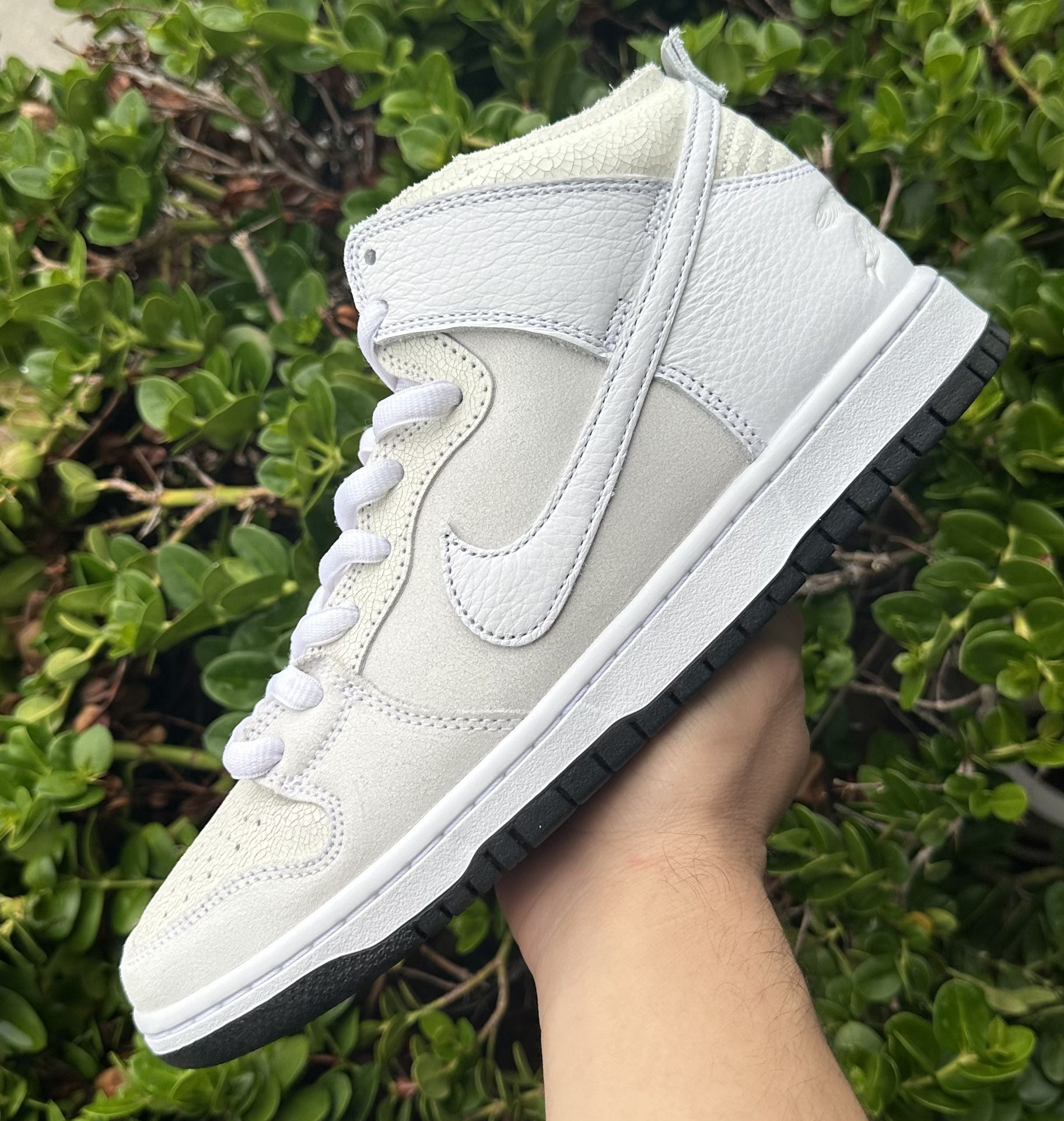 Nike Sb Dunk Antihero