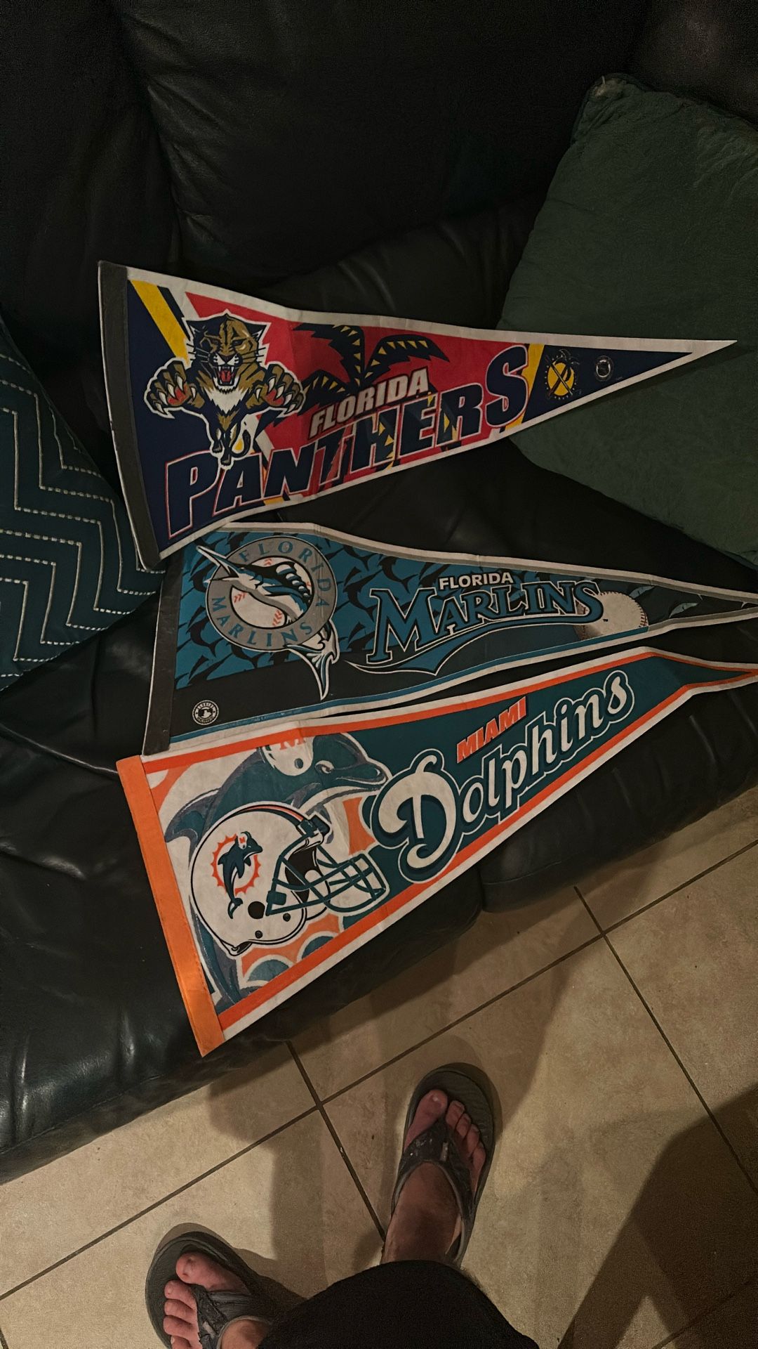 Panthers Dolphins Marlins Pennants