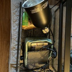 Tortoise/Reptile Supplies