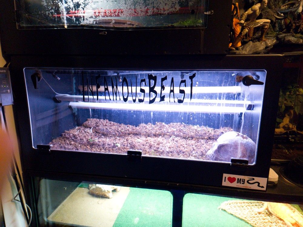 arboreal boaphile cage