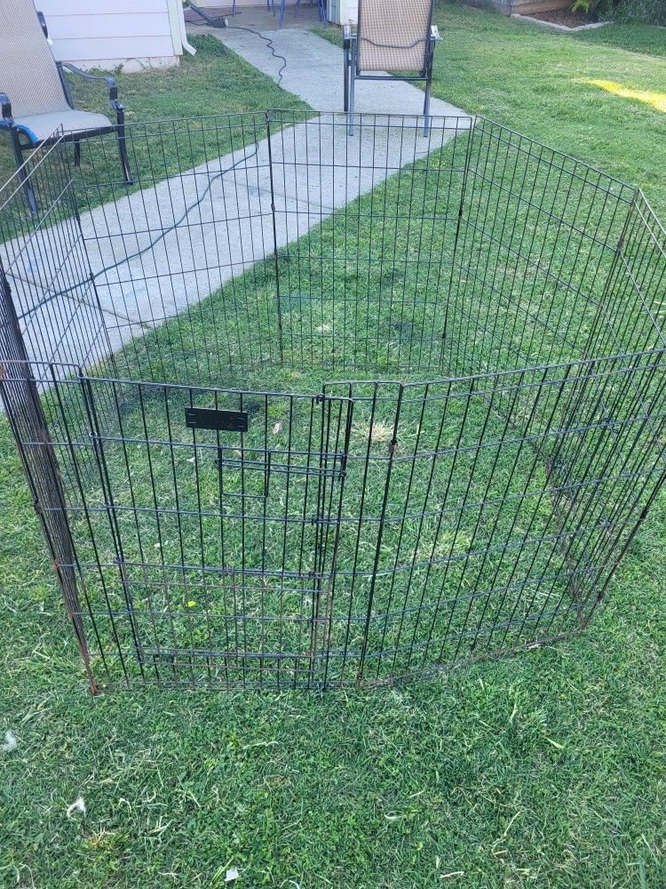 4 X 4 Outdoor Metal Pet Exerciser ππ