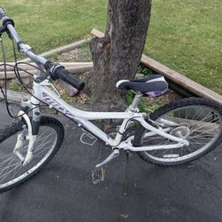 Giant MTX 24inch Mountain Bike 