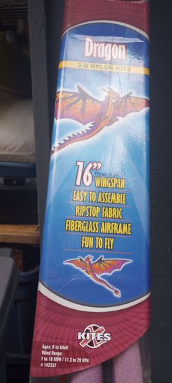 Dragon kite