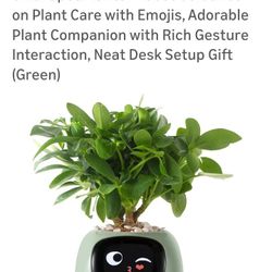 New Smart Planter Robot Green