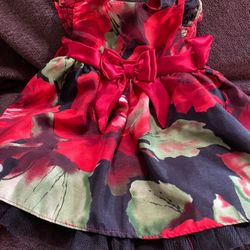Toddler 18 Months dress