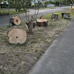 FREE Firewood - Maple