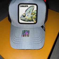 Chamaleon Trucker Hat