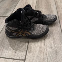 Asics Wrestling Shoes 