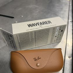 Ray Ban Wayfarer Meta Gen 2