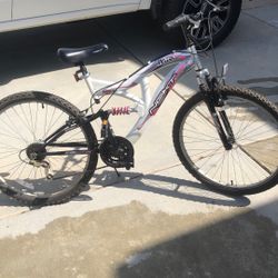 Plush Platinum Mountain Bike.  