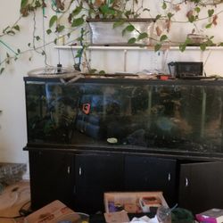 135 Gallon Tank & Stand