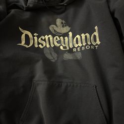 Disneyland hooded Sweatshirt