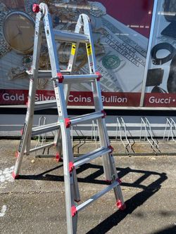 FRANKLIN 17 ft. Reach, Type IA, 300 lb. Multitask Ladder (A1G013118)